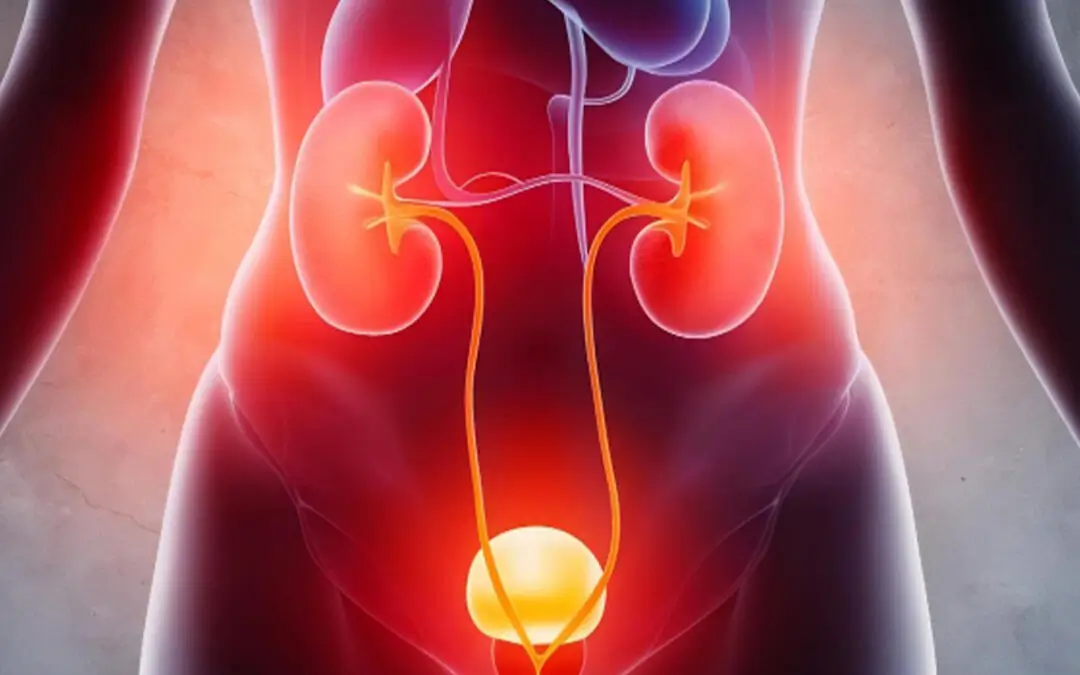 Best Urinary Tract Infection Treatment in Navi Mumbai